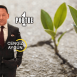 yeni yıl